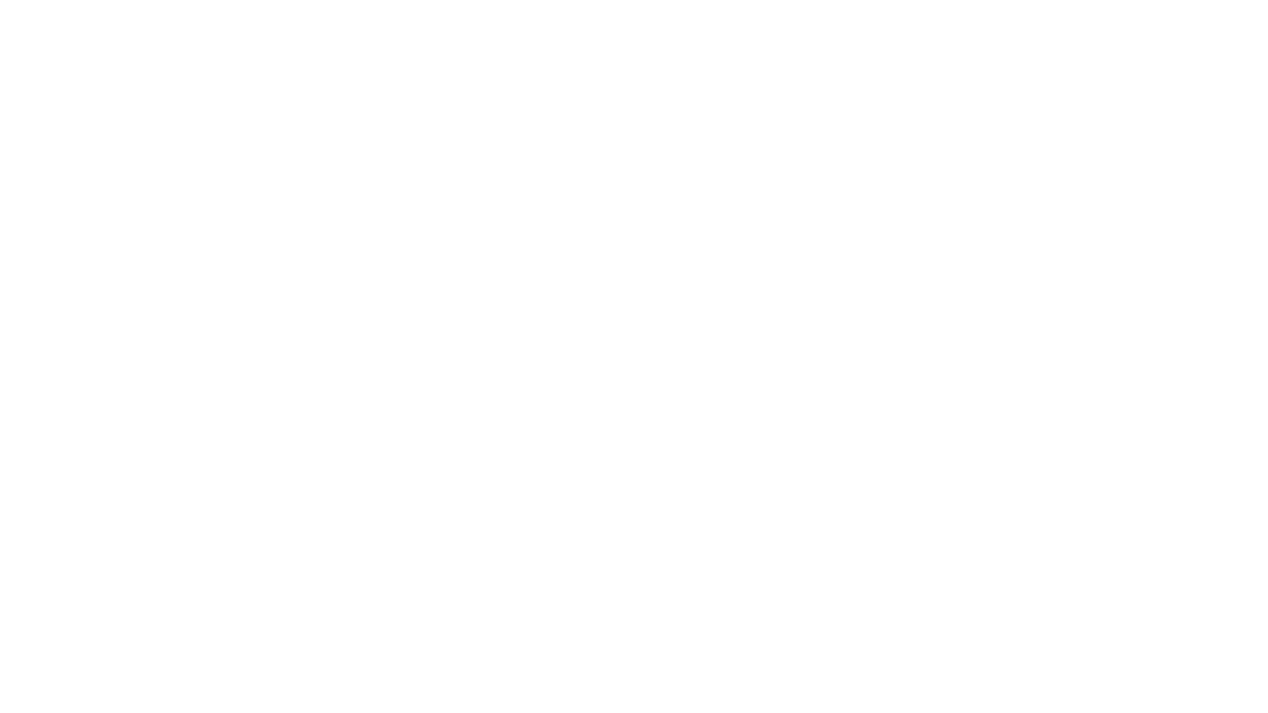 fs1 logo